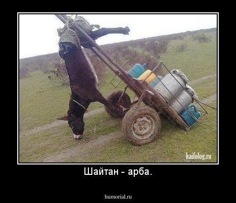 Шайтан - арба.