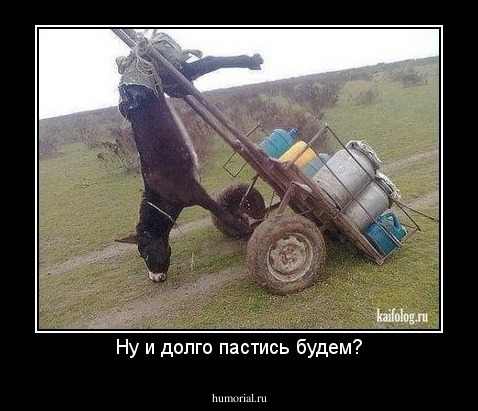 Ну и долго пастись будем?