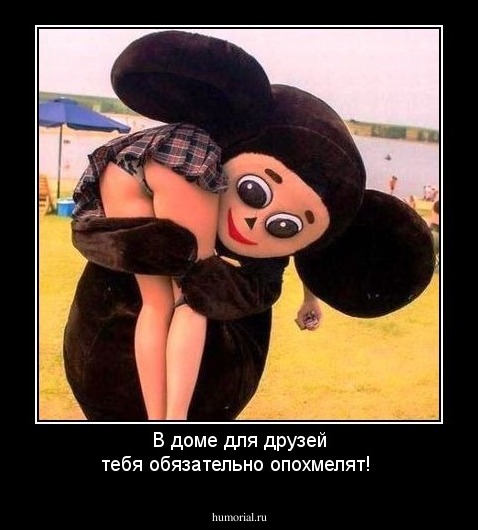 В доме для друзей тебя обязательно опохмелят!