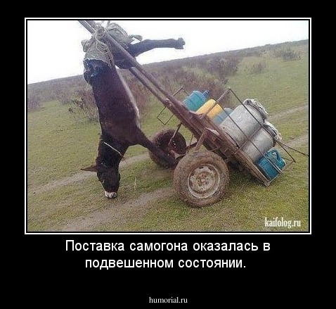 Поставка самогона оказалась в подвешенном состоянии.
