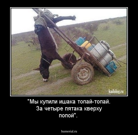 "Мы купили ишака топай-топай. За четыре пятака кверху попой".
