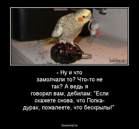 - Ну и что замолчали то? Что-то не так? А ведь я говорил вам, дебилам: "Если скажете снова, что Попка- дурак, пожалеете, что бескрылы!"