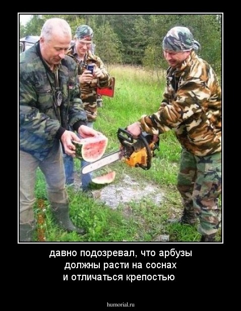 давно подозревал, что арбузы должны расти на соснах и отличаться крепостью