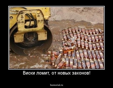 Виски ломит, от новых законов!