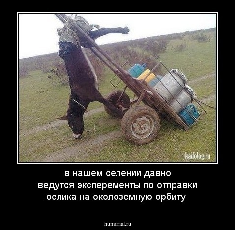 в нашем селении давно ведутся эксперементы по отправки ослика на околоземную орбиту