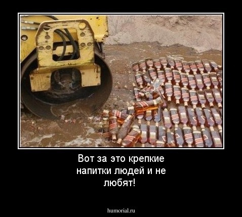 Вот за это крепкие напитки людей и не любят!