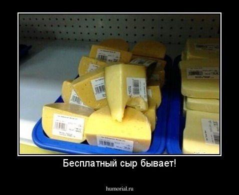 Бесплатный сыр бывает!
