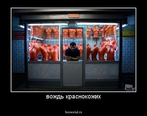 вождь краснокожих