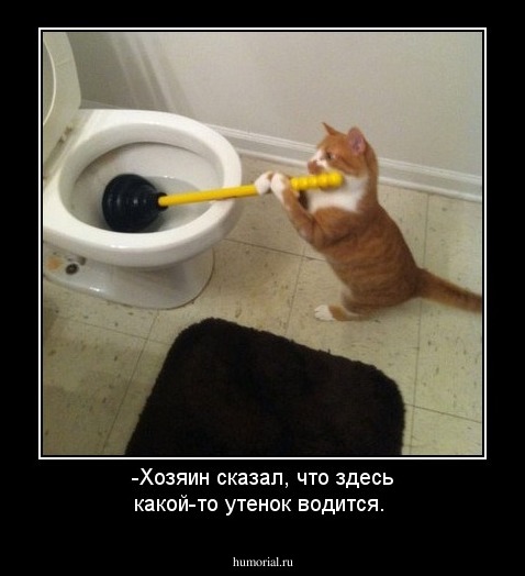 -Хозяин сказал, что здесь какой-то утенок водится.