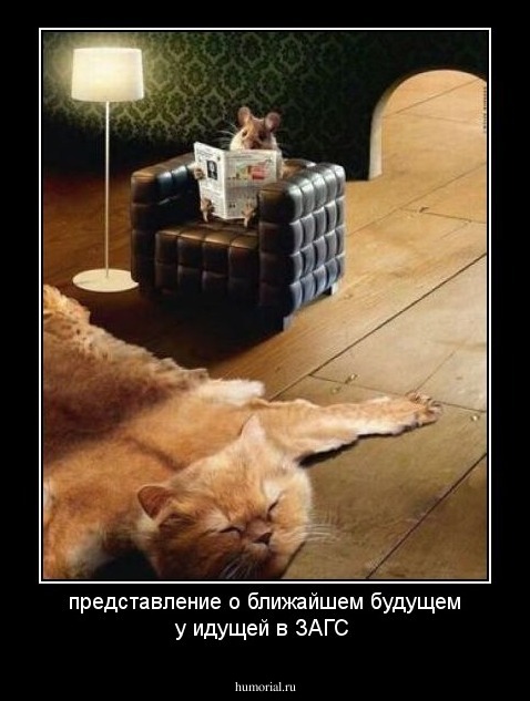 представление о ближайшем будущем у идущей в ЗАГС