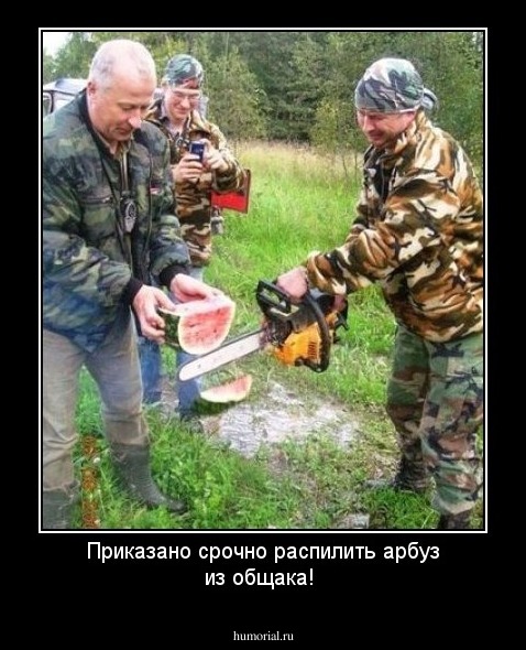 Приказано срочно  распилить арбуз из общака!