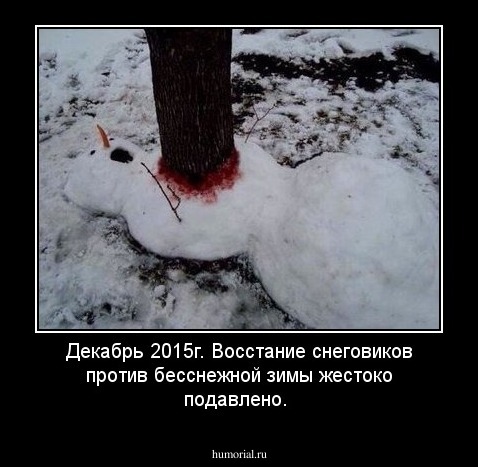 Декабрь 2015г. Восстание снеговиков против бесснежной зимы жестоко подавлено.
