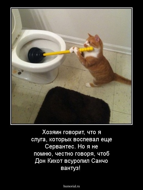 Хозяин говорит, что я слуга, которых воспевал еще Сервантес. Но я не помню, честно говоря, чтоб Дон Кихот всуропил Санчо вантуз!