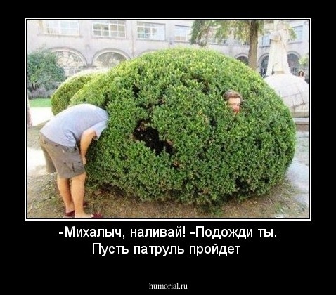 -Михалыч, наливай! -Подожди ты. Пусть патруль пройдет