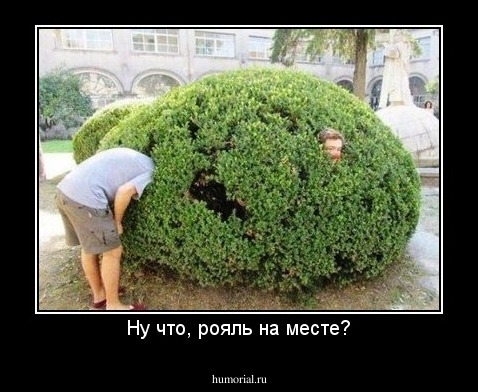 Ну что, рояль на месте?