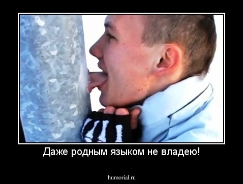 Даже родным языком не владею!