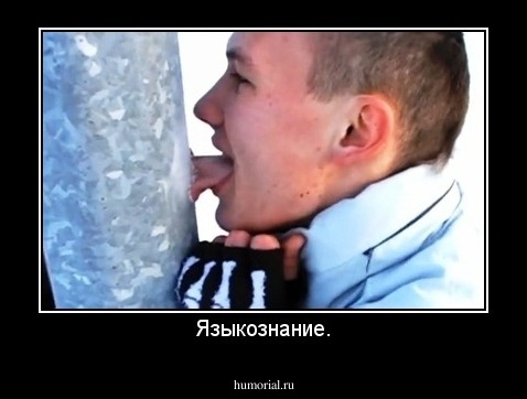 Языкознание.