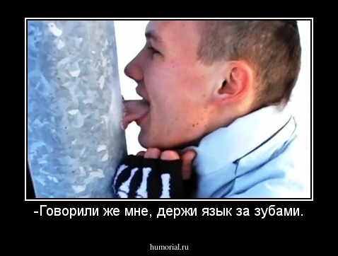 -Говорили же мне, держи язык за зубами.