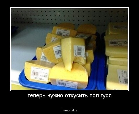 теперь нужно откусить пол гуся