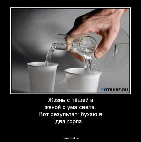 Жизнь с тёщей и женой с ума свела. Вот результат: бухаю в два горла.