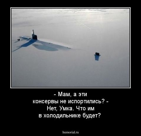 - Мам, а эти консервы не испортились?
 - Нет, Умка. Что им в холодильнике будет?