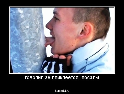 говолил зе пликлеется, лосалы