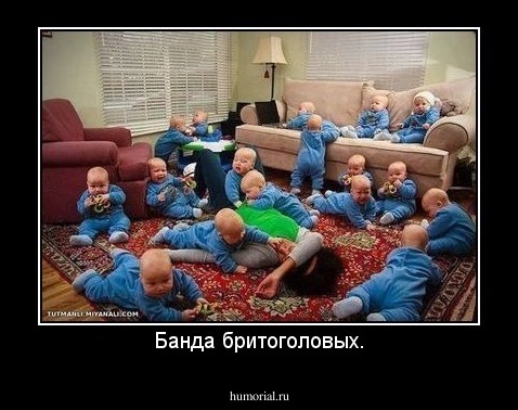 Банда бритоголовых.