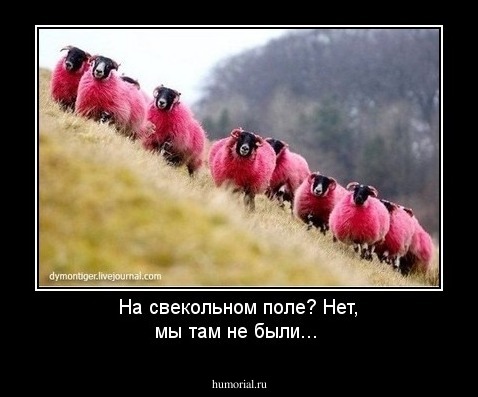 На свекольном поле? Нет, мы там не были...