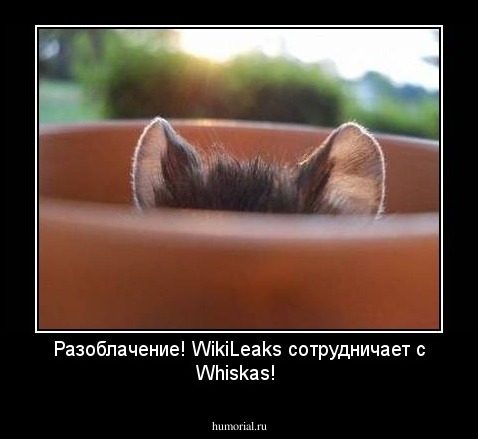  Разоблачение! WikiLeaks сотрудничает с Whiskas!