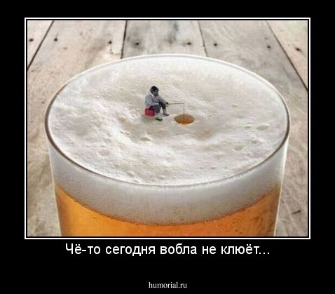 Чё-то сегодня вобла не клюёт...