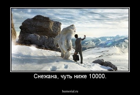 Снежана, чуть ниже 10000.