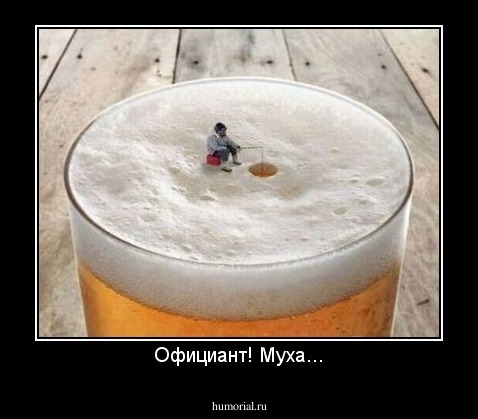 Официант! Муха...