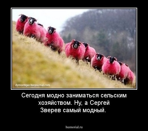 Сегодня модно заниматься сельским хозяйством. Ну, а Сергей Зверев самый модный.