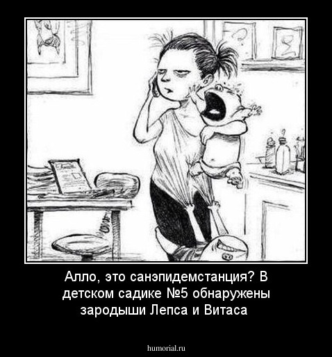 Алло, это санэпидемстанция? В  детском садике №5  обнаружены зародыши Лепса и Витаса