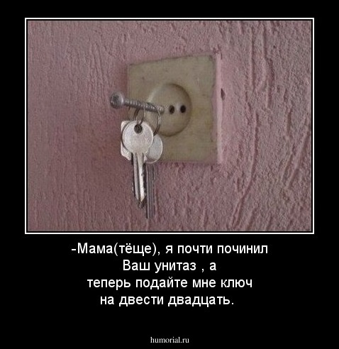 -Мама(тёще), я почти починил Ваш  унитаз , а теперь подайте  мне ключ на  двести двадцать. 