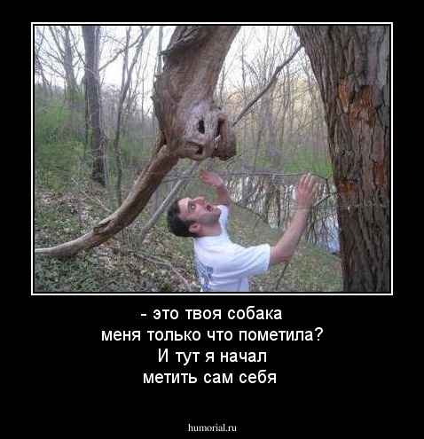- это твоя собака меня только что пометила?
И тут я начал метить сам себя