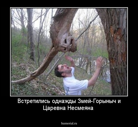  Встретились однажды Змей-Горыныч и Царевна Несмеяна 
