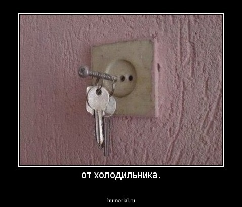 от холодильника.