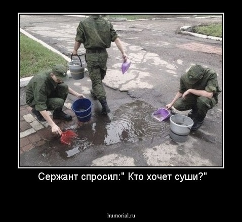  Сержант спросил:" Кто хочет суши?"
 