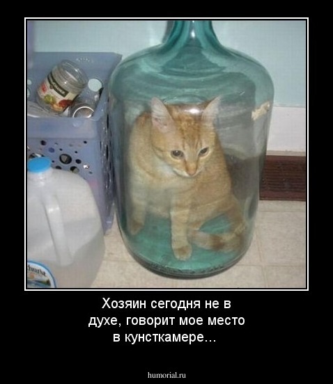 Хозяин сегодня не в духе, говорит мое место в кунсткамере...