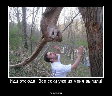 Иди отсюда! Все соки уже из меня выпили!