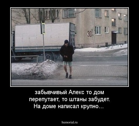 забывчивый Алекс то дом перепутает, то штаны забудет. На доме написал крупно...