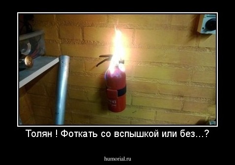 Толян ! Фоткать со вспышкой или без...?