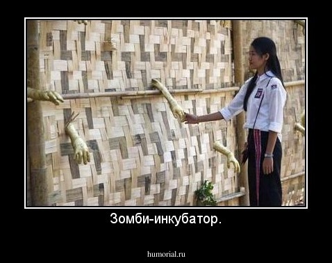 Зомби-инкубатор.
