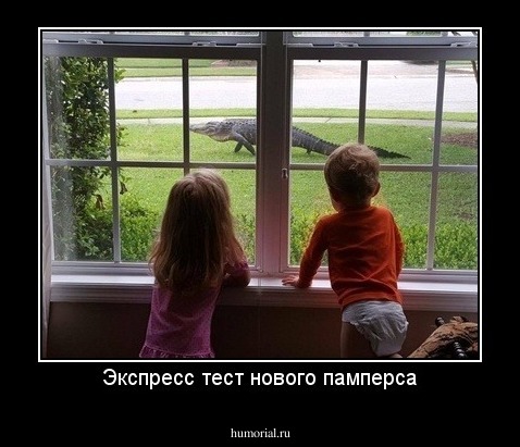 Экспресс тест нового памперса