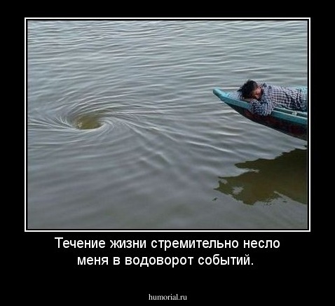 Течение жизни стремительно несло меня в водоворот событий.