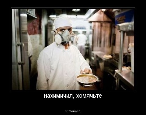 нахимичил, хомячьте