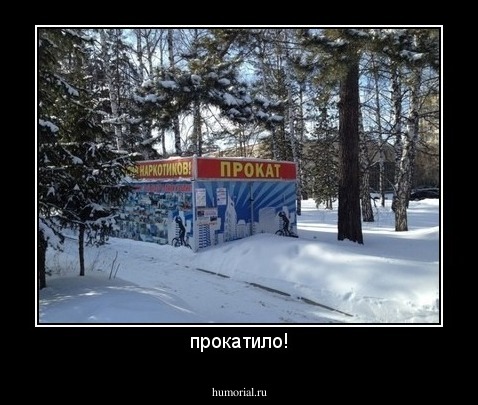 прокатило!
