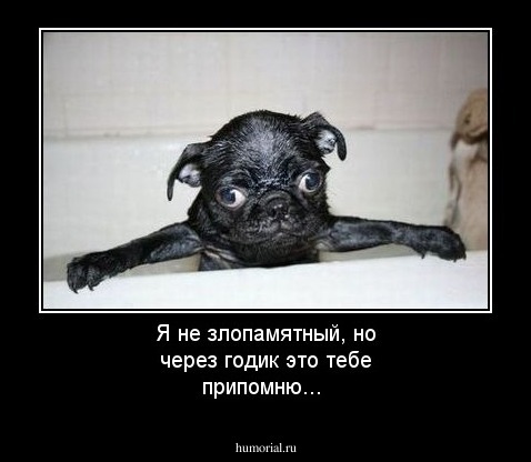 Я не злопамятный, но через годик это тебе припомню...