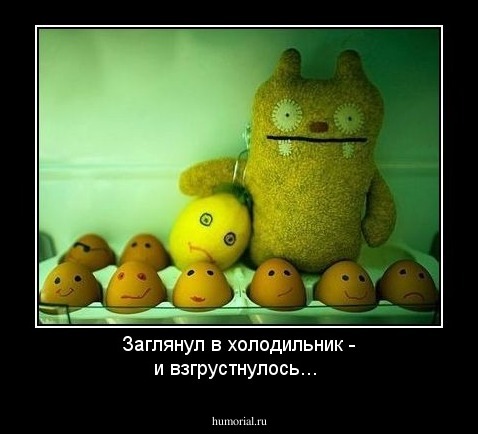 Заглянул в холодильник - и взгрустнулось...